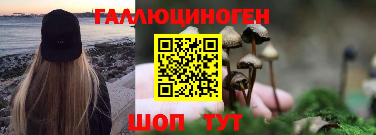 Галлюциногенные грибы GOLDEN TEACHER Сыктывкар