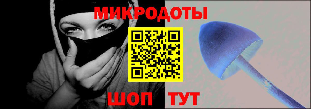 Сыктывкар  Псилоцибиновые грибы MAGIC MUSHROOMS  Вход с VPN 